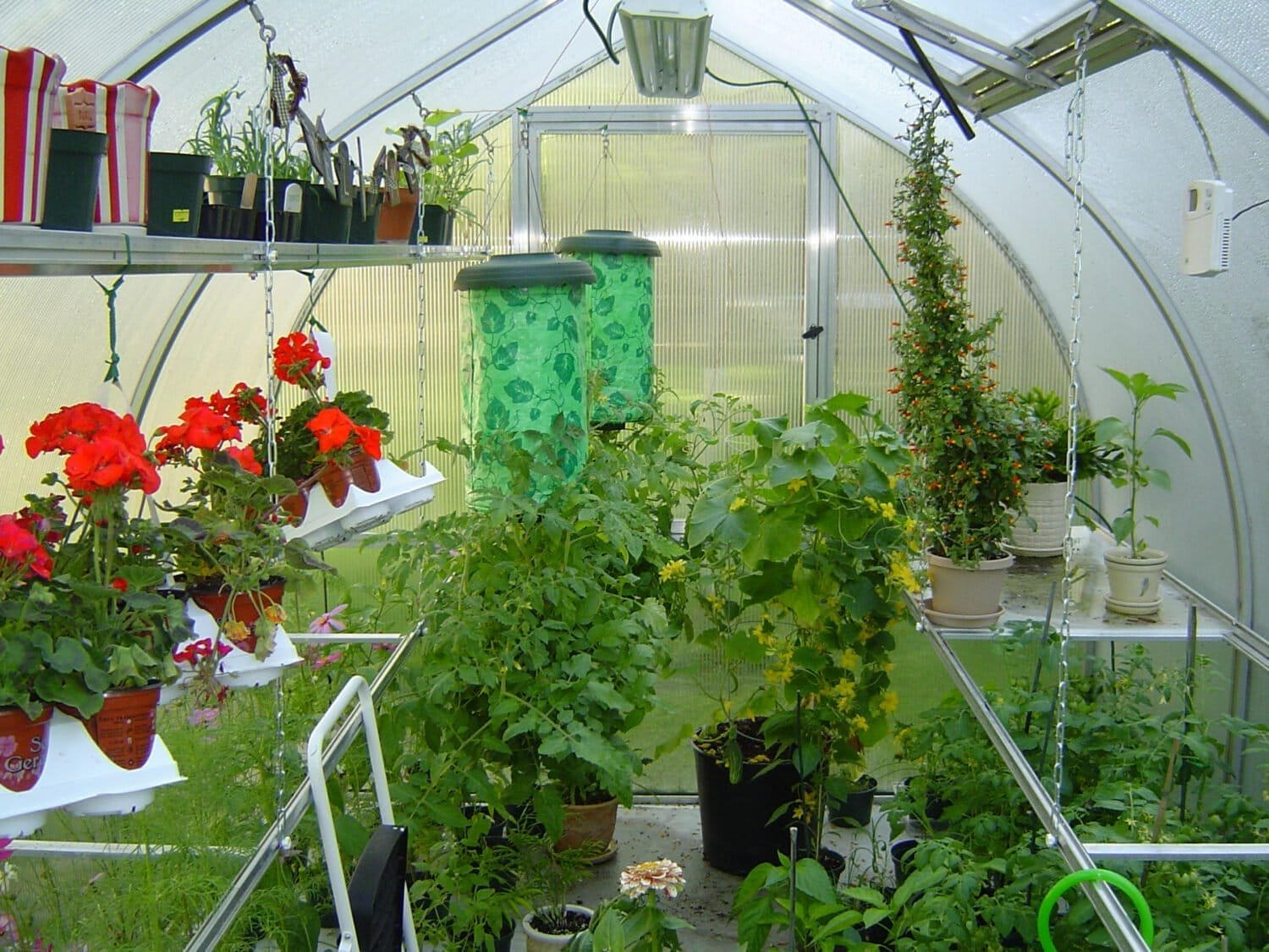 Adjustable Metal Hooks for Riga Greenhouses, Set of 5