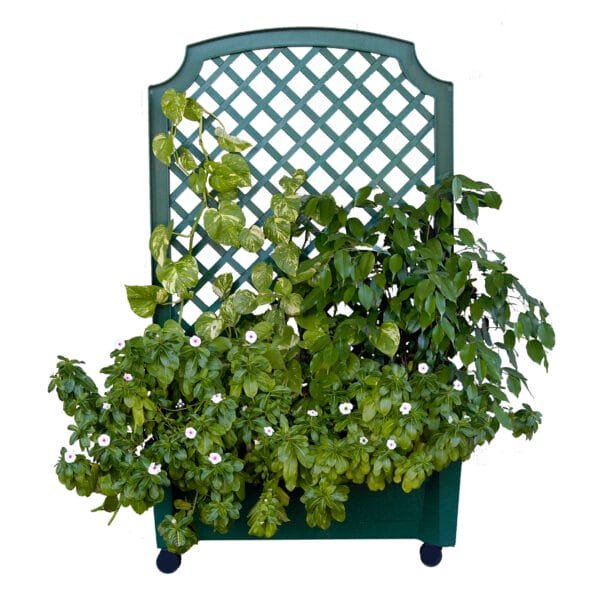 Calypso Planter with Trellis and Water Reservoirer