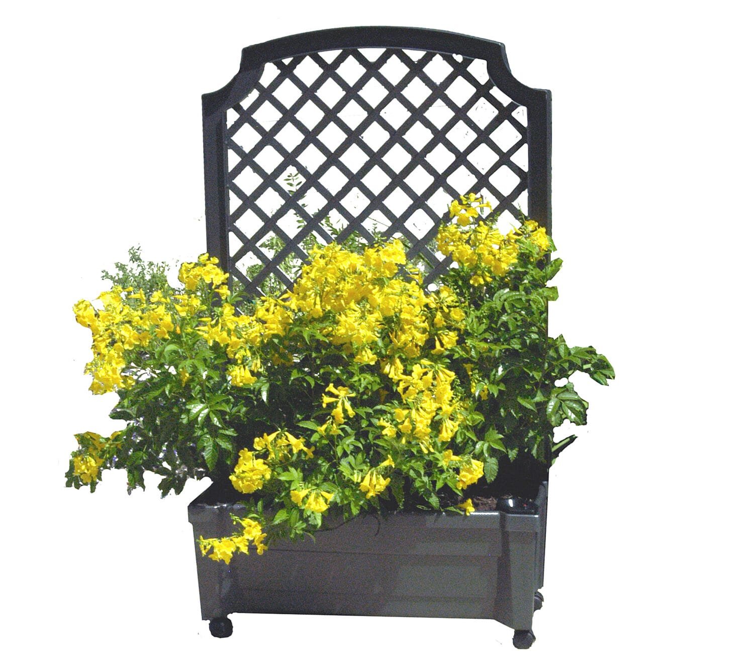 Calypso Planter with Trellis and Water Reservoirer12