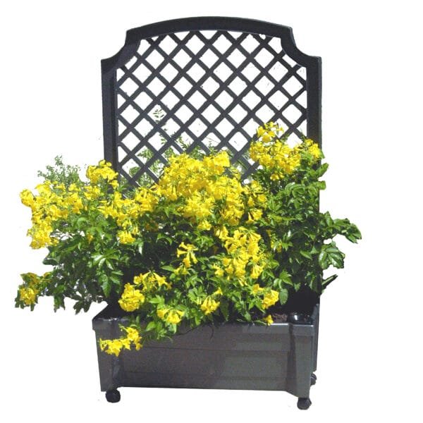 Calypso Planter with Trellis and Water Reservoirer12