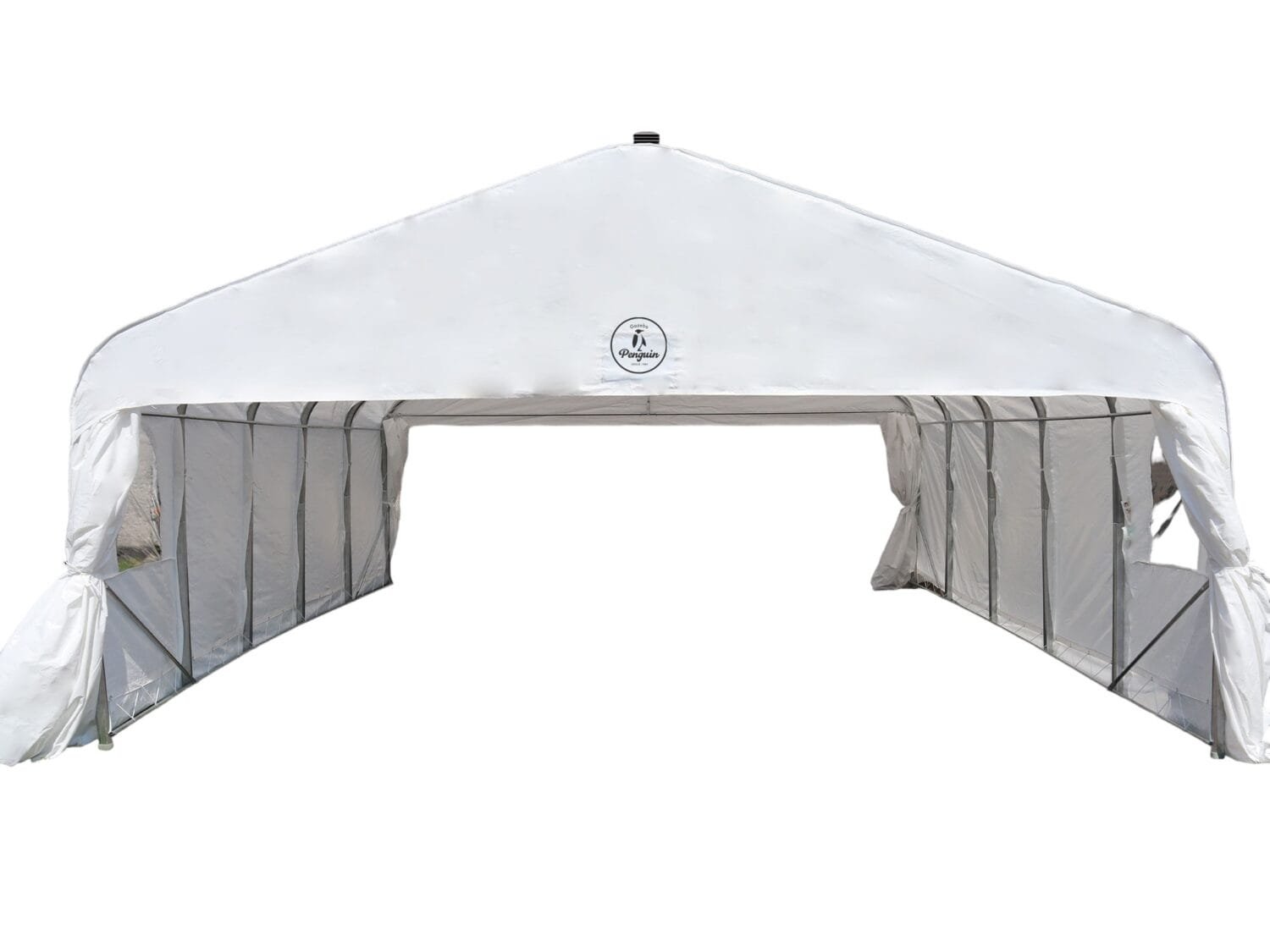 Deluxe Double Car Shelter 18 ft x 20 ft. CO18X20FF 200 WHI 060051342207 (6)